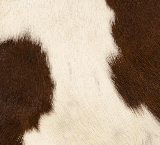 Hair On Cowhide Natural