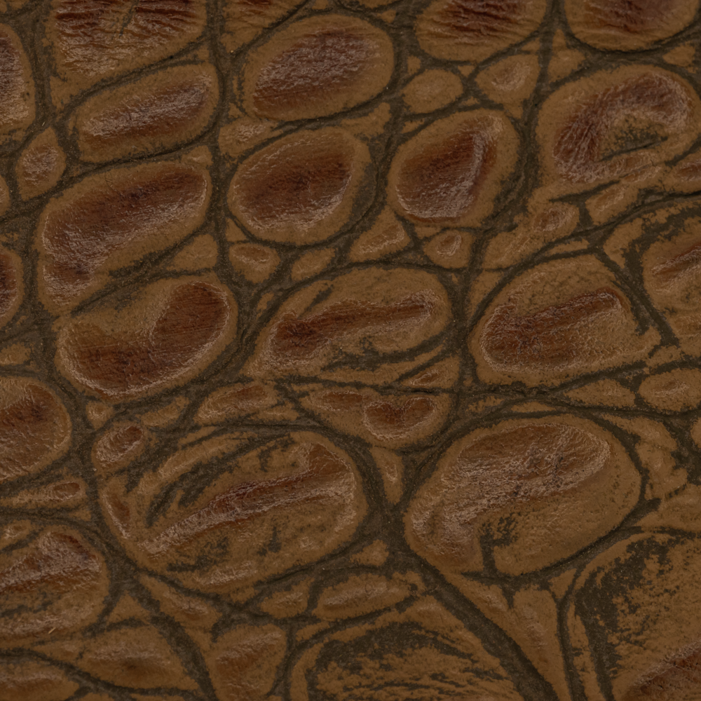 CROCO PRINT - HORNBACK - Image 4