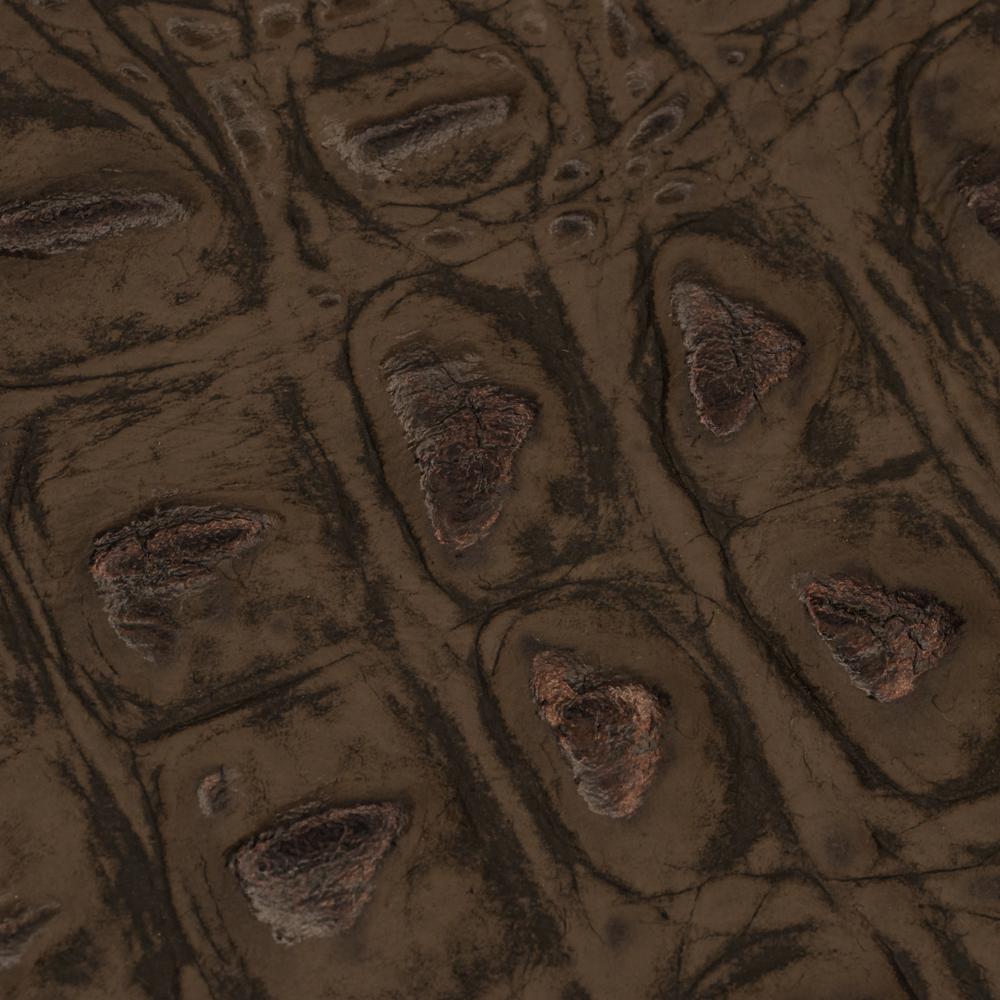 CROCO PRINT - HORNBACK - Image 2