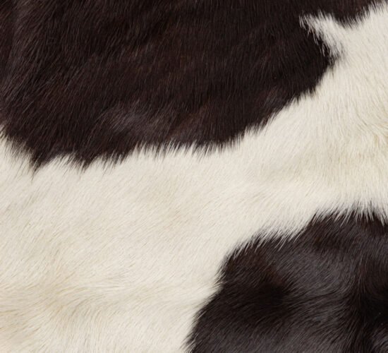 Hair On Calf - Natural - Black - White