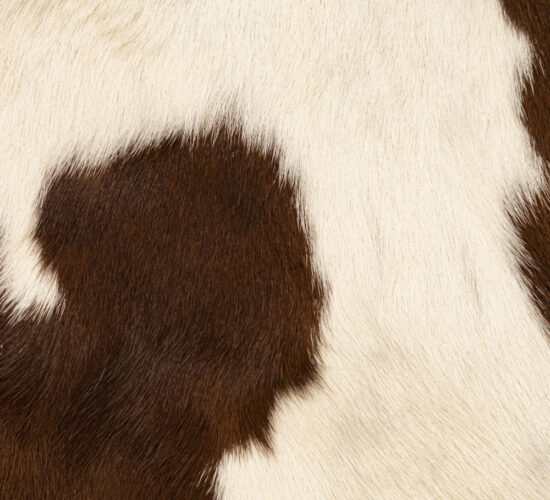 Hair On Calf - Natural - Brown - White